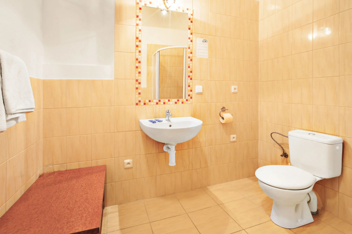 Apartment House Zizkov