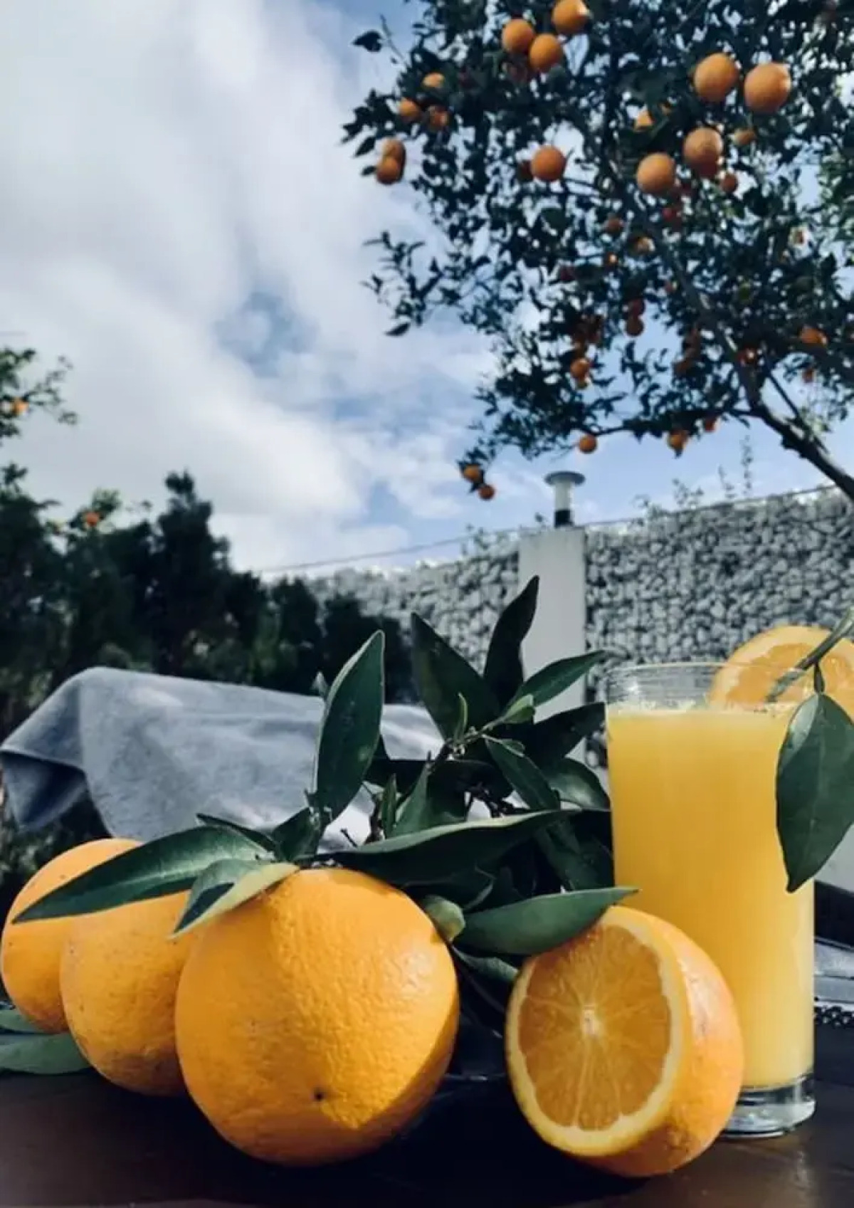 Ramses Spa  & Resort