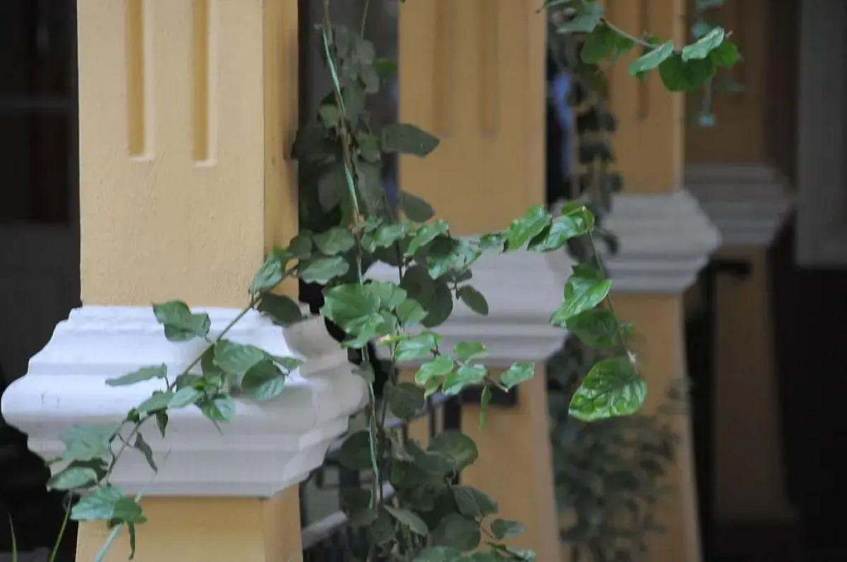 Antik Han Hotel - Special Class