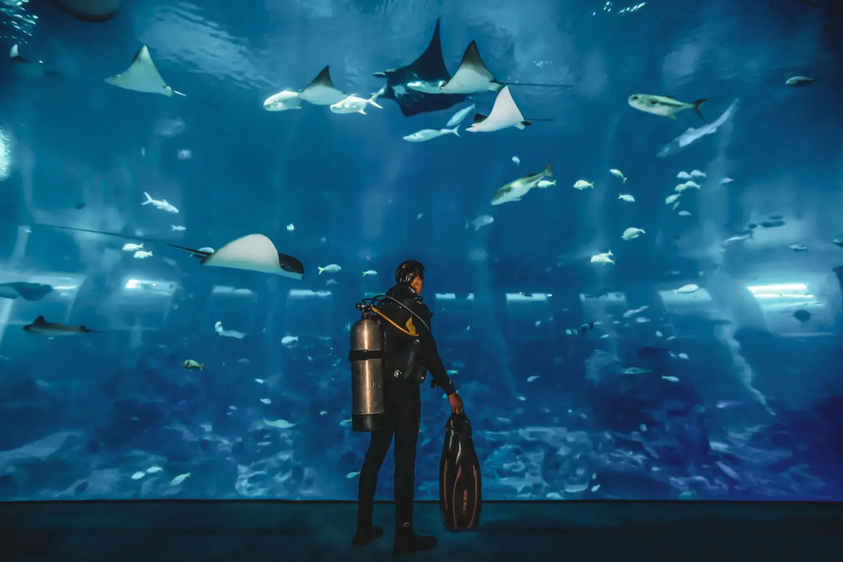 Resorts World Sentosa - Equarius Hotel