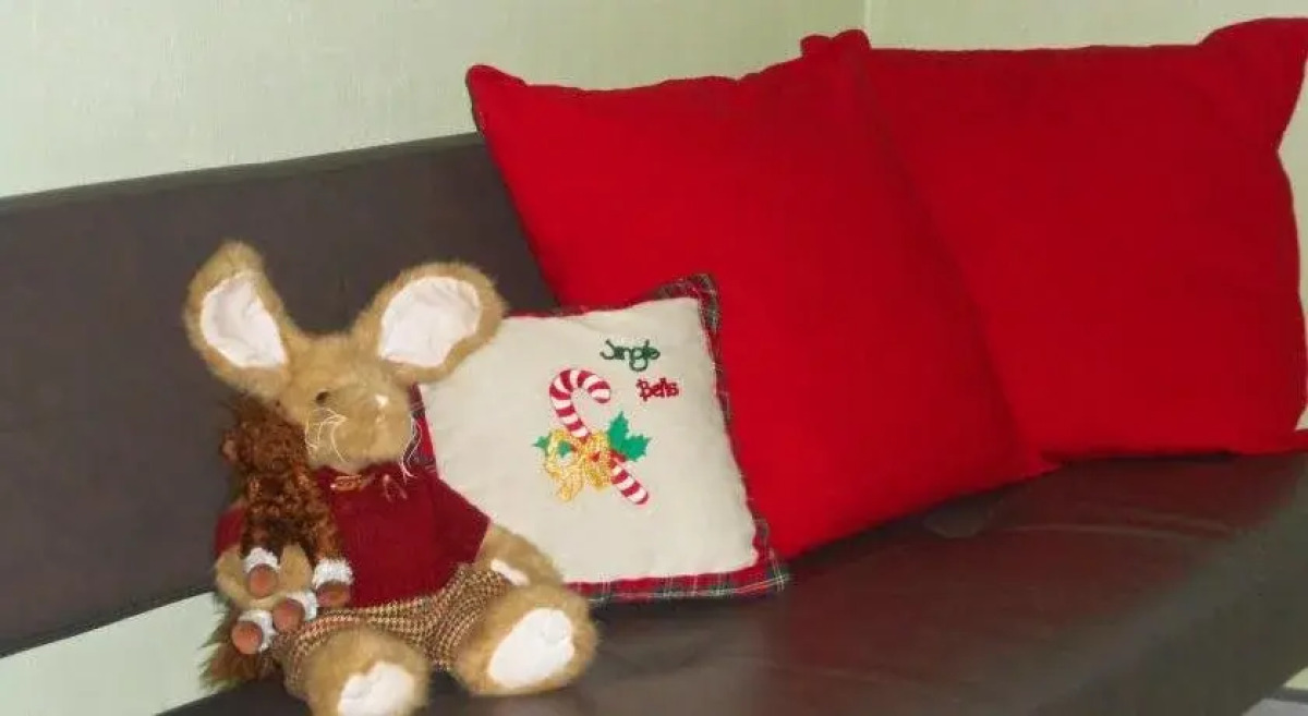 Жилые помещения Kvartira 55