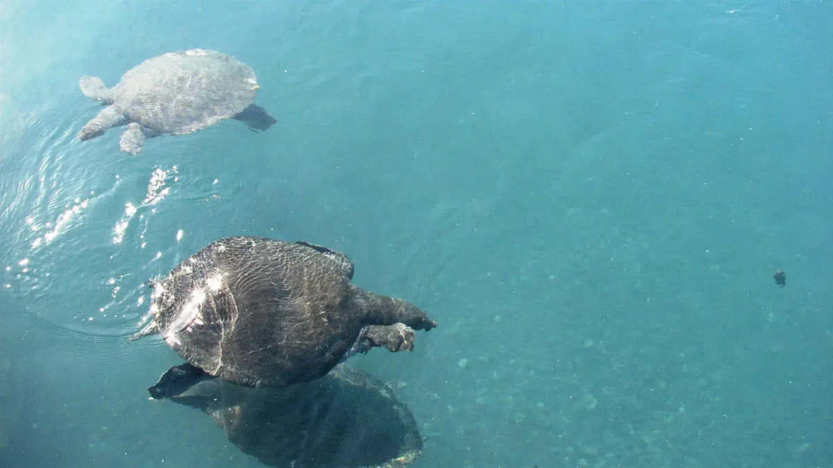 Thermemaris Thermal & Spa Resort