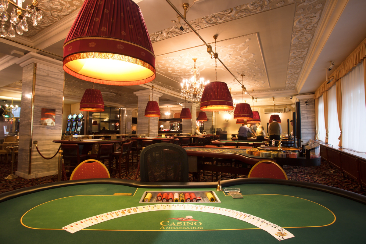 Ambassador Zlatá husa