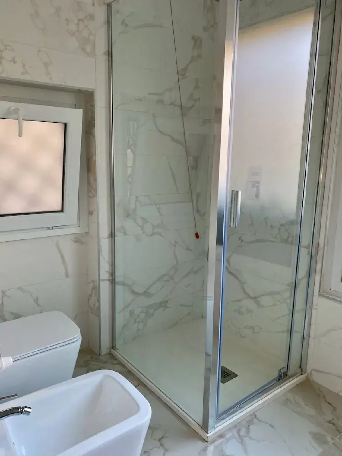 Gatto Bianco Le Mura