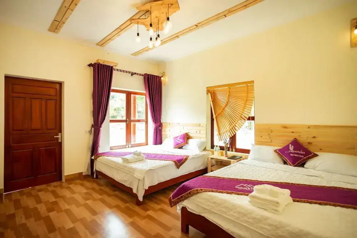 Tam Coc Lavender Homestay