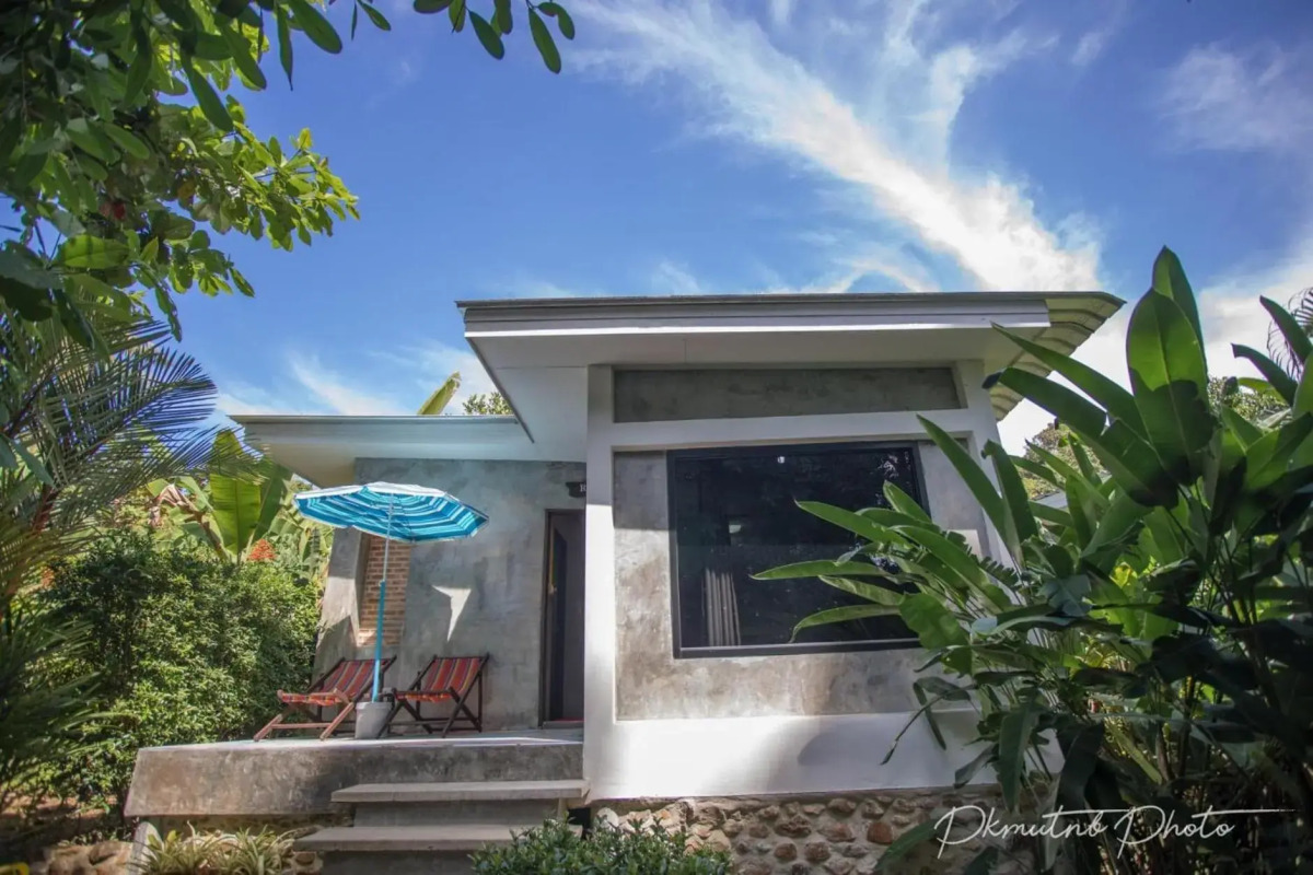 Sunshine on the rock