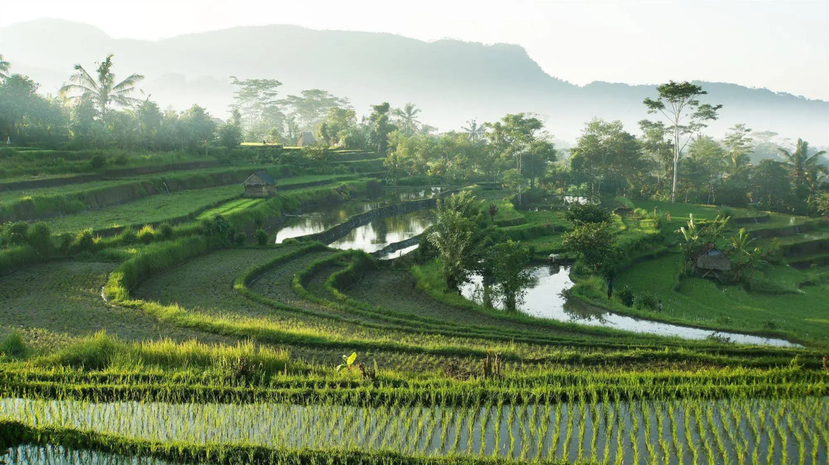 Samanvaya - Adults Only