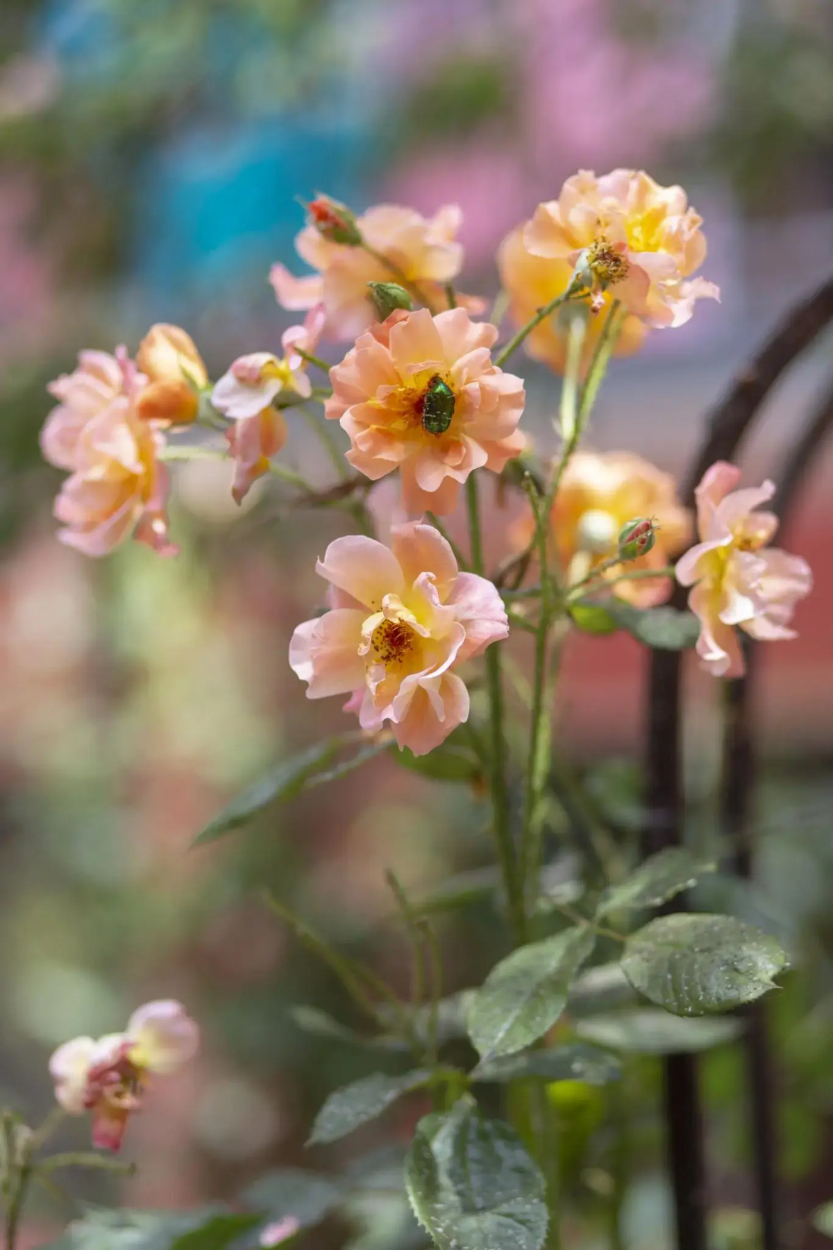 U Yudzhina Guest House