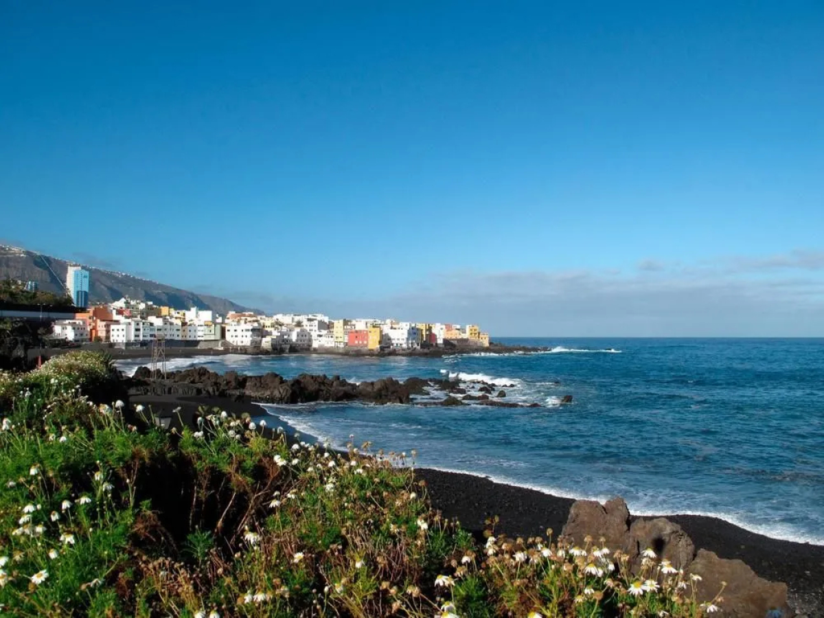 Apartamentos Florida