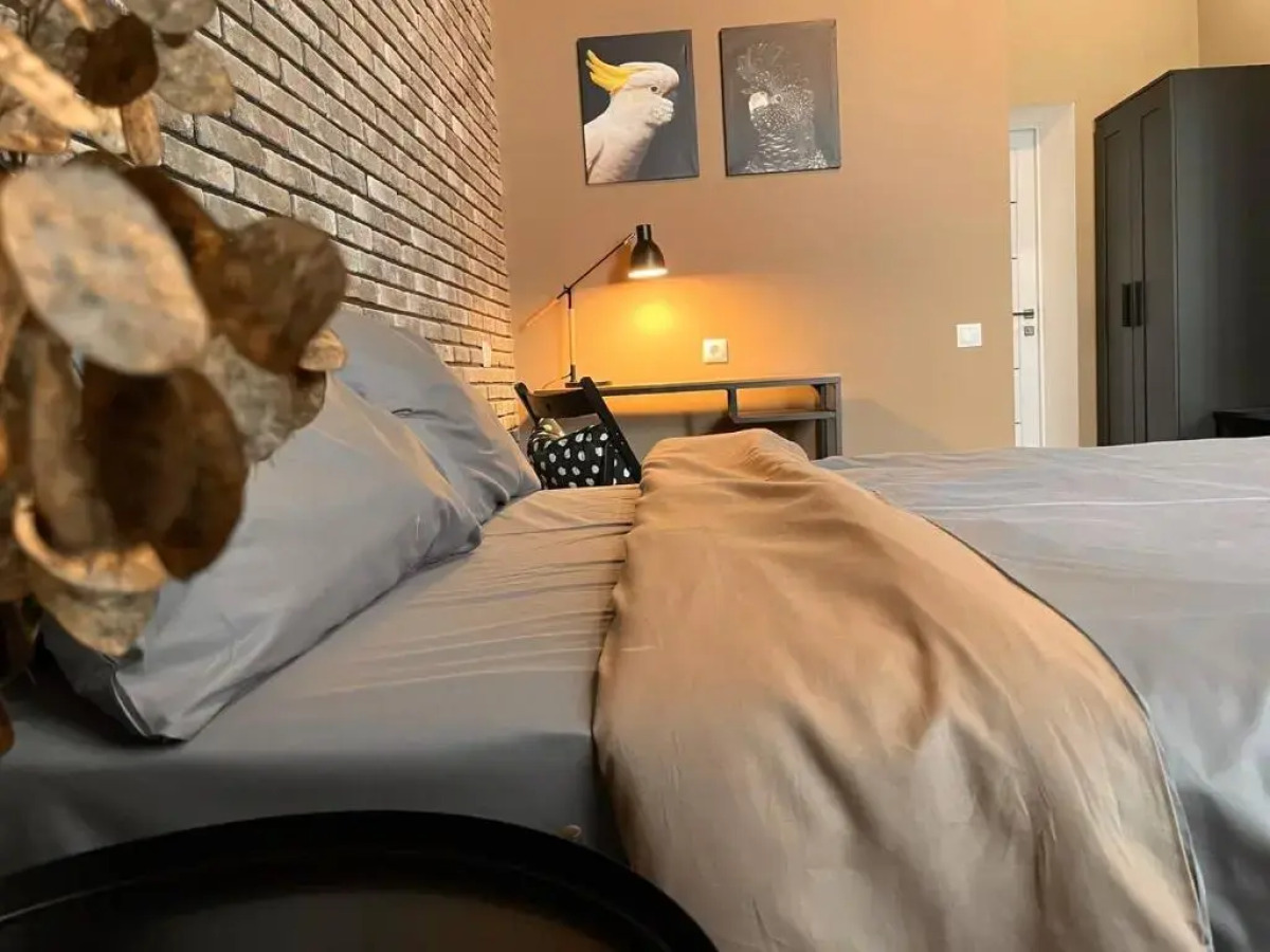 BRUSNIKA Guest house