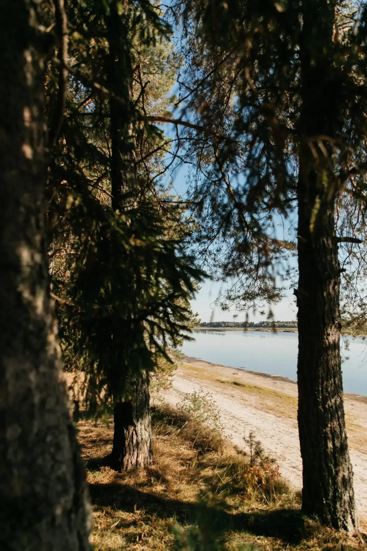 Северная Звезда