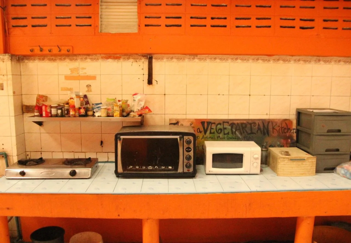 The Overstay Art Hostel