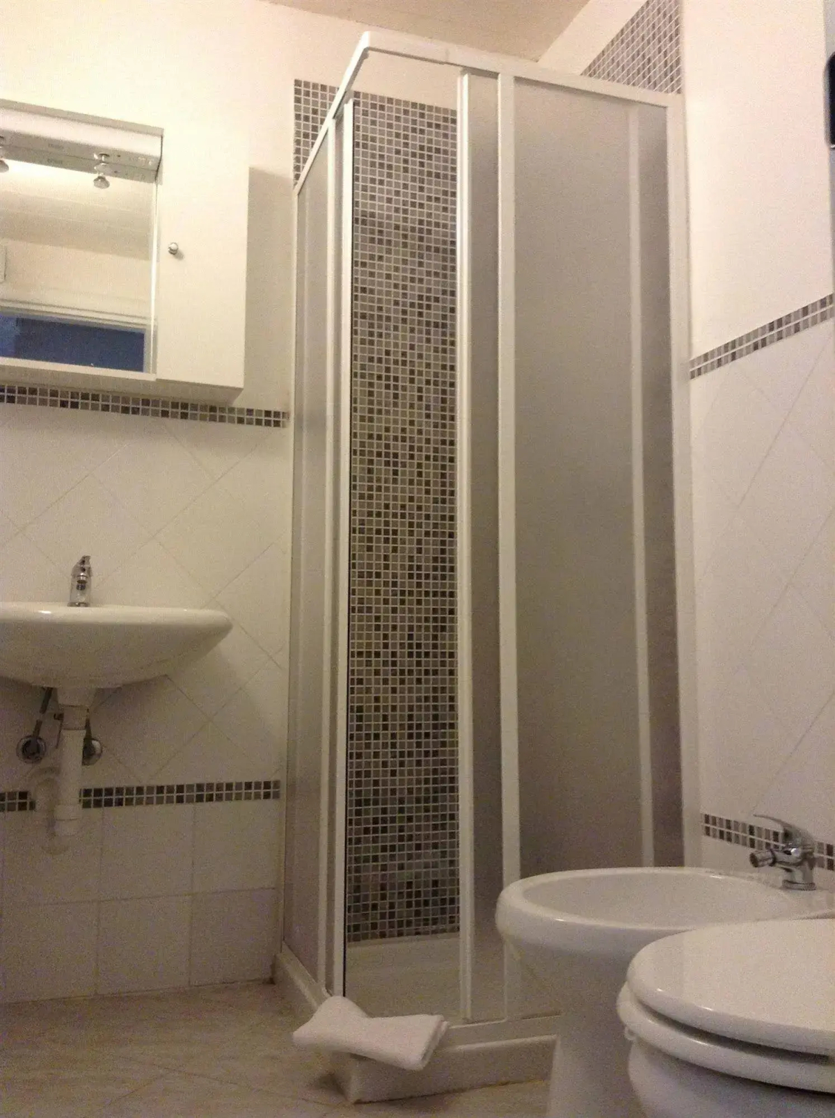 Loft Regio Parco