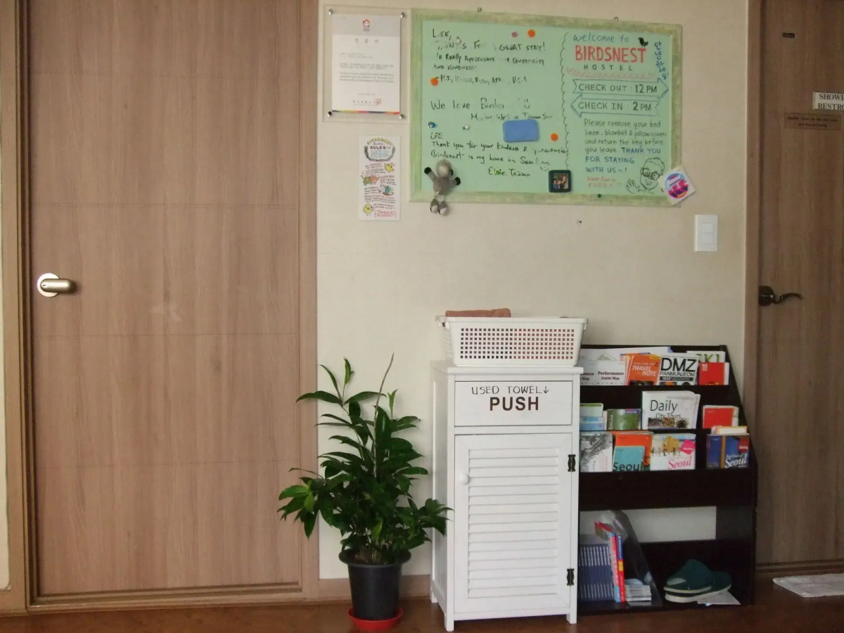 Birdsnest Hostel Hongdae