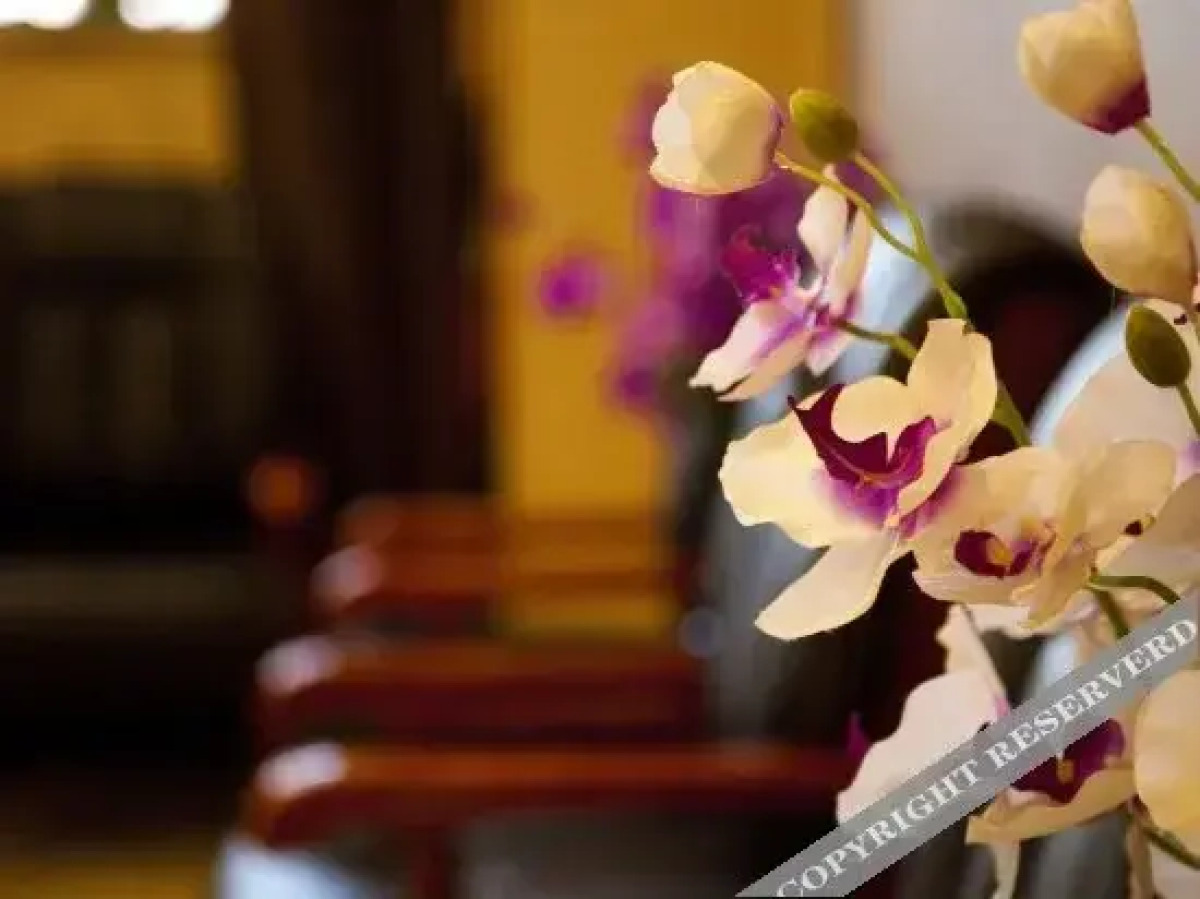 St. Petersburg Business Club