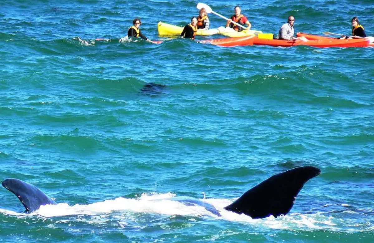 Misty Waves Boutique Hotel