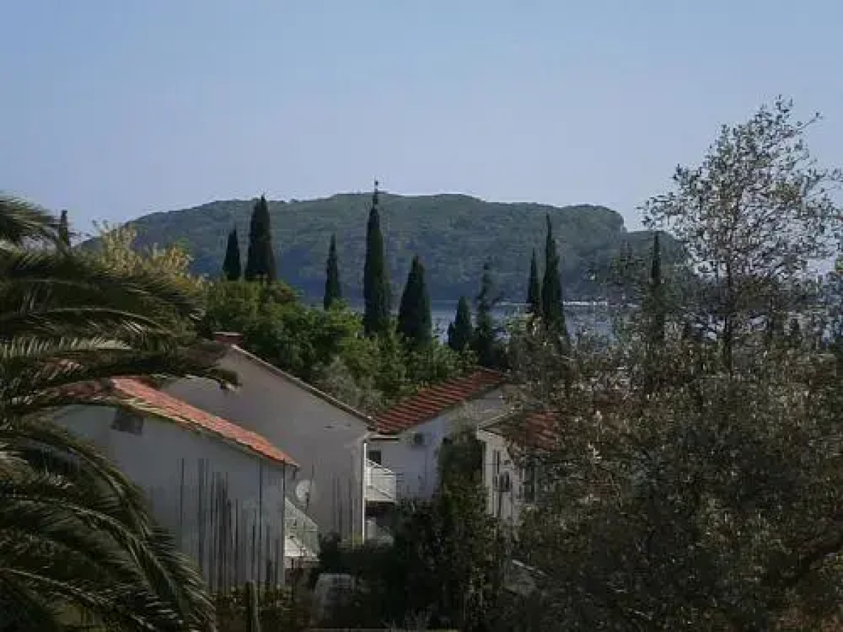 Mijovic Apartments
