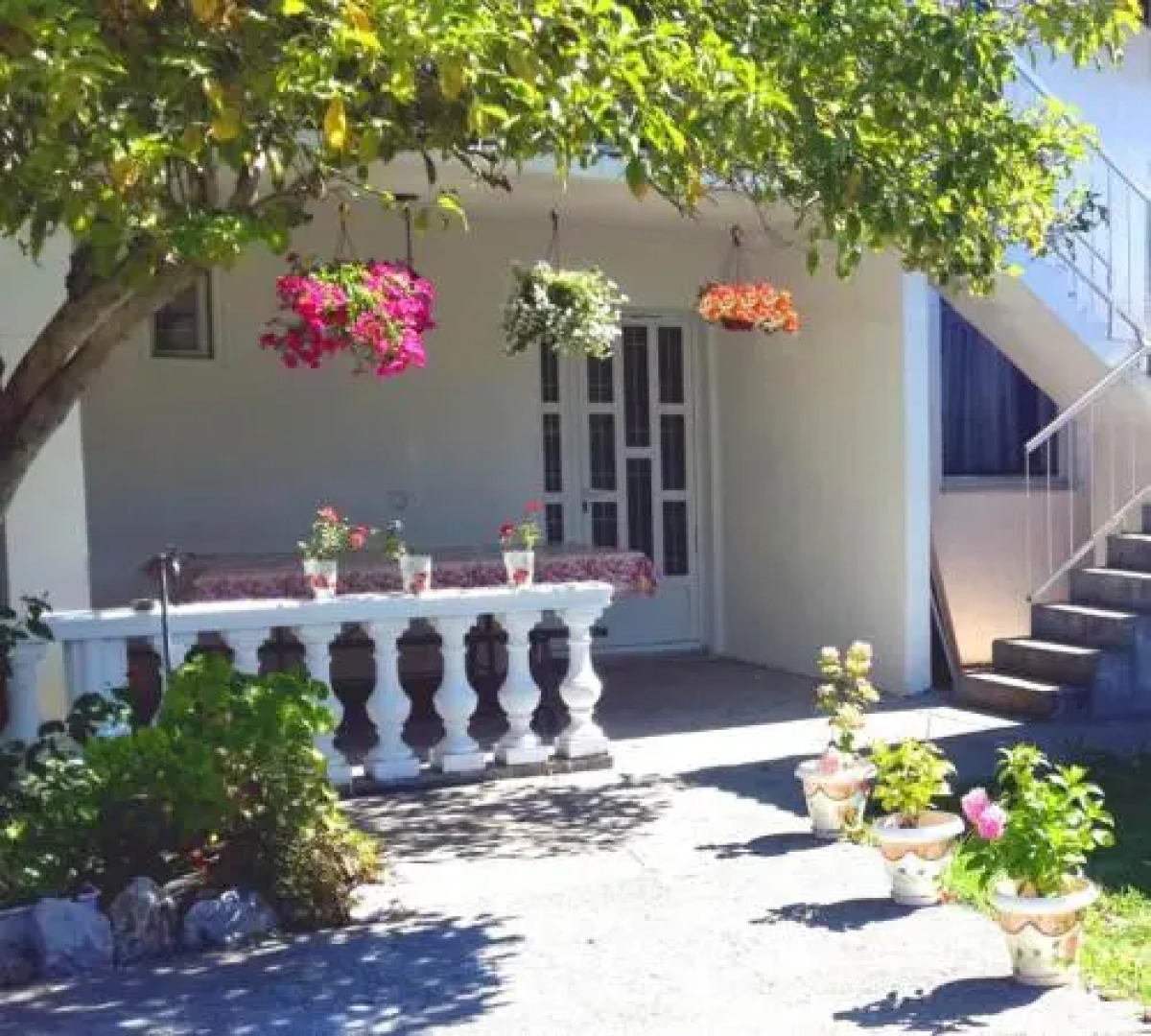 Guest House Magnolia