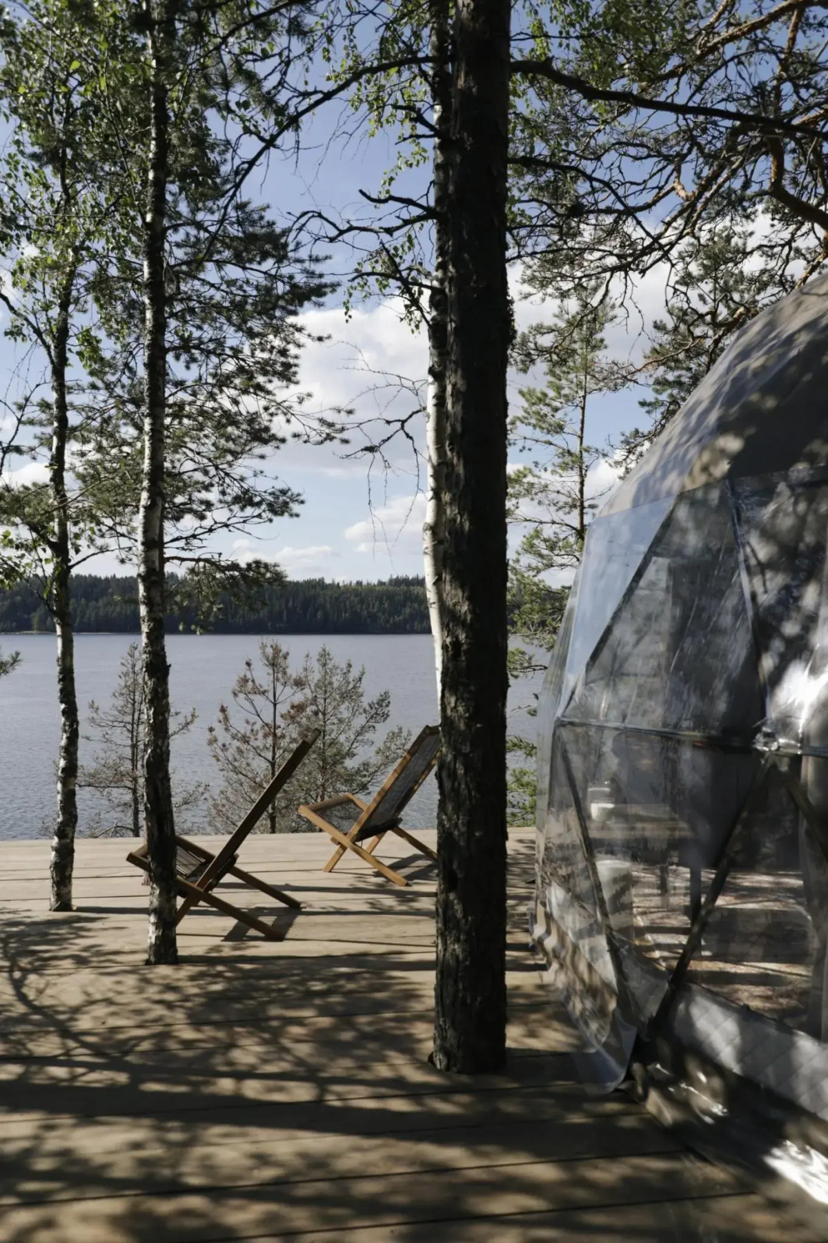 Вили Улей Карелия