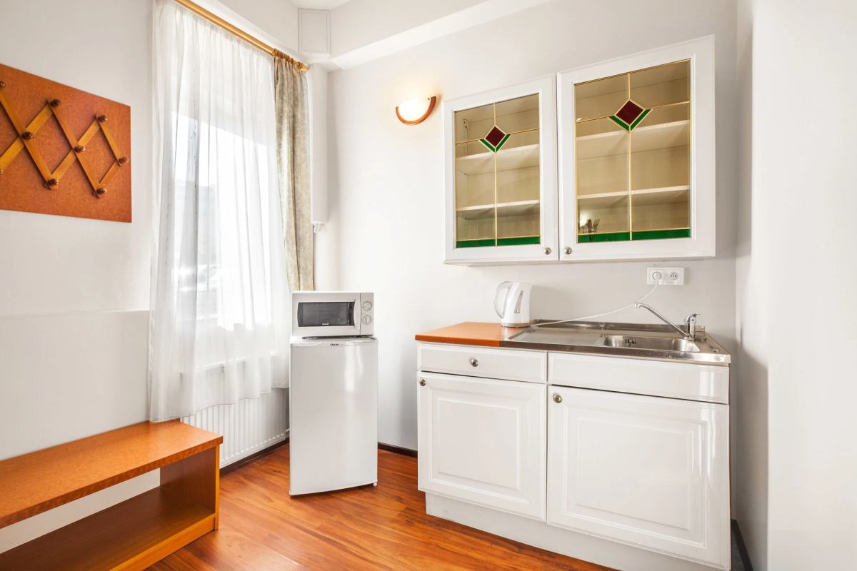Apartment House Zizkov