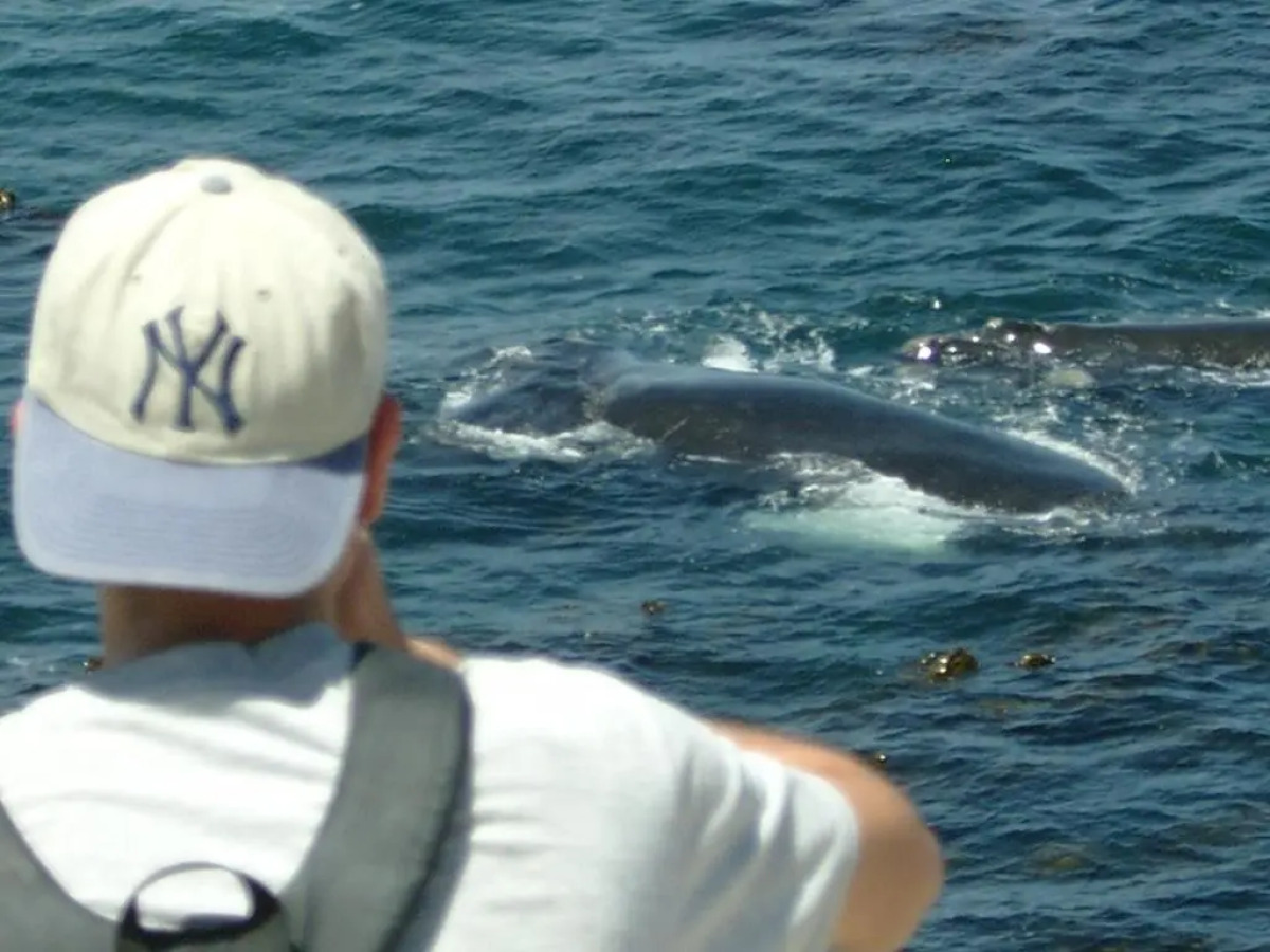 Misty Waves Boutique Hotel