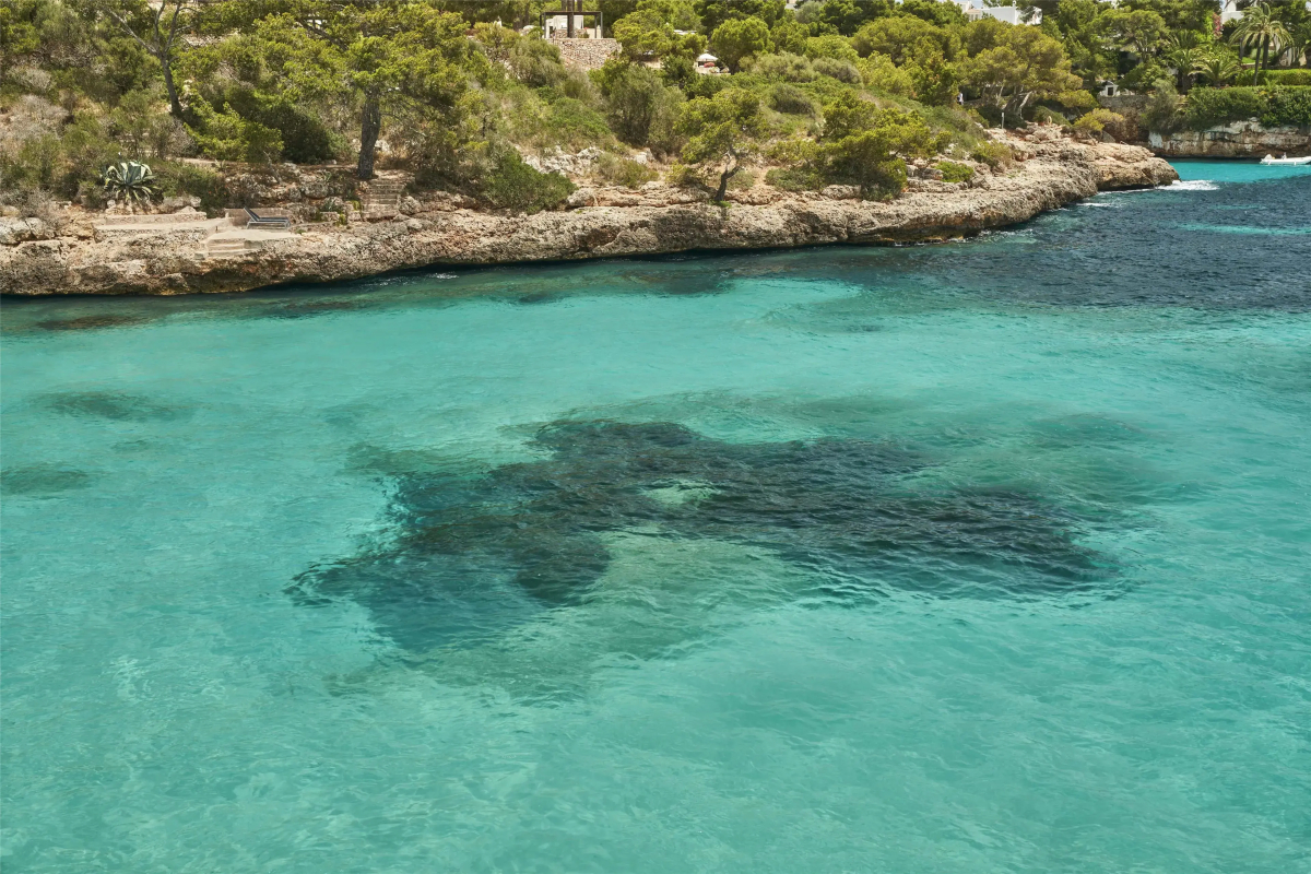 Barceló Ponent Beach