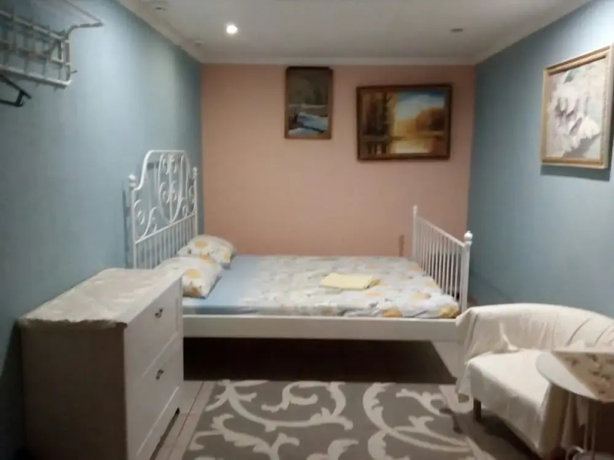 Меблированные комнаты Снегири