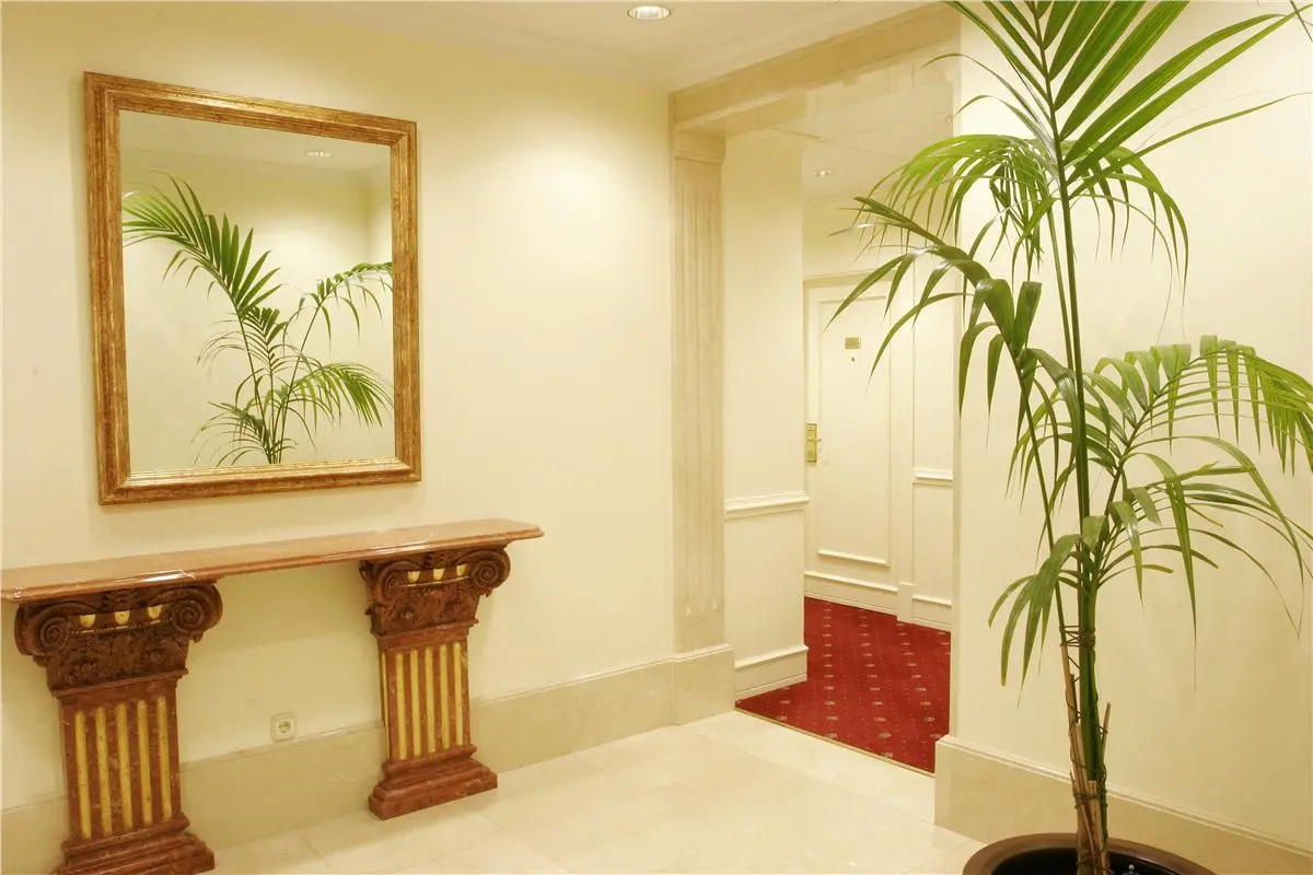 Hotel Atlantico Madrid