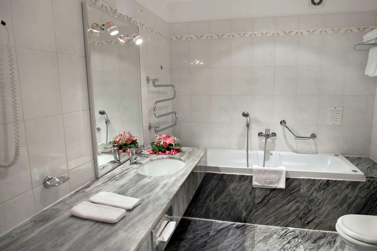 Ambassador Zlatá husa