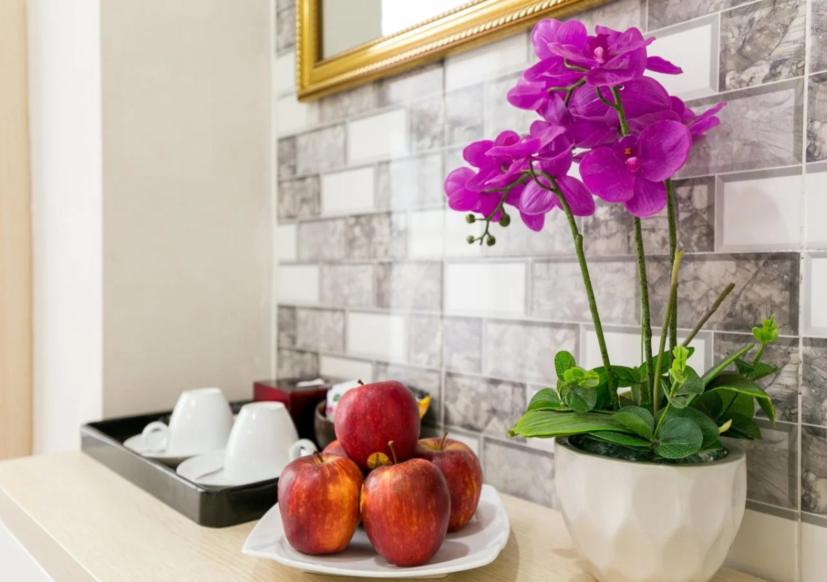 Galaxy Boutique Hotel