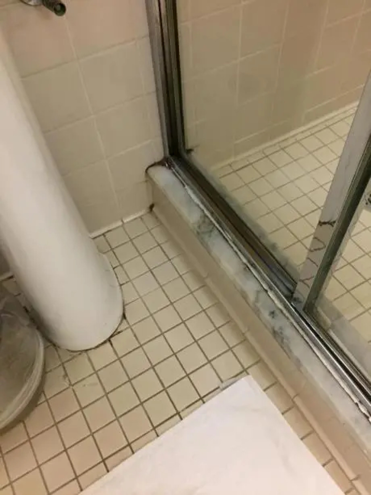 The Roosevelt Hotel, New York City