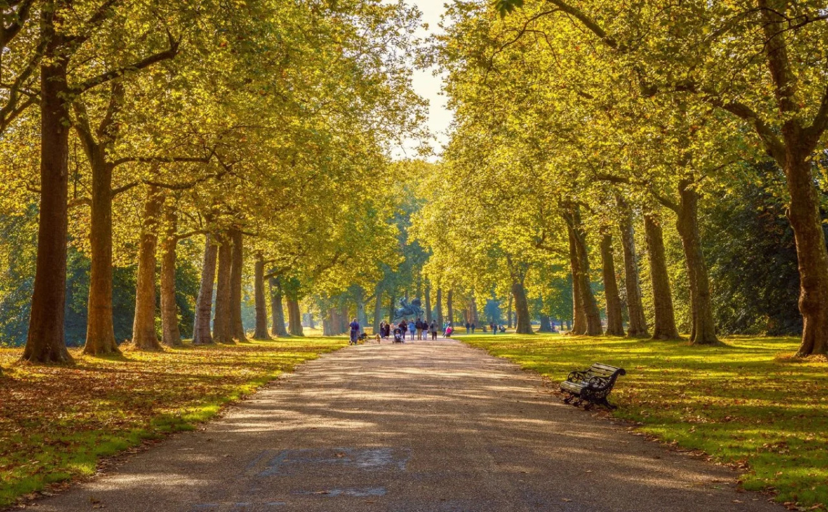 Отель Amsterdam
