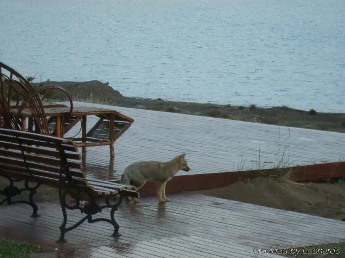 Hotel Las Dunas