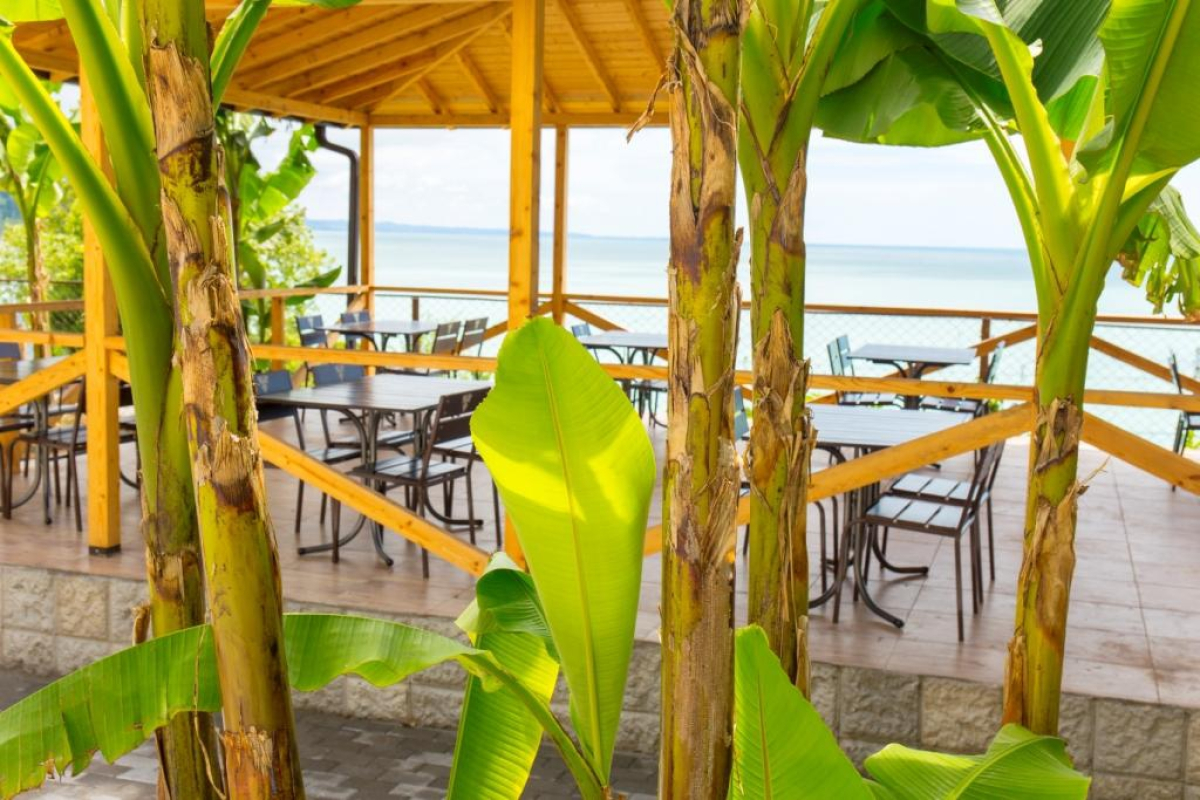 Kholodnaia Rechka Sanatorium — Reprua Building