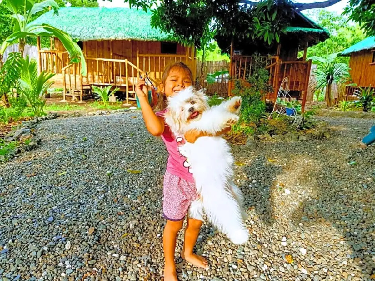 Moalboal Bamboo House / Rooms