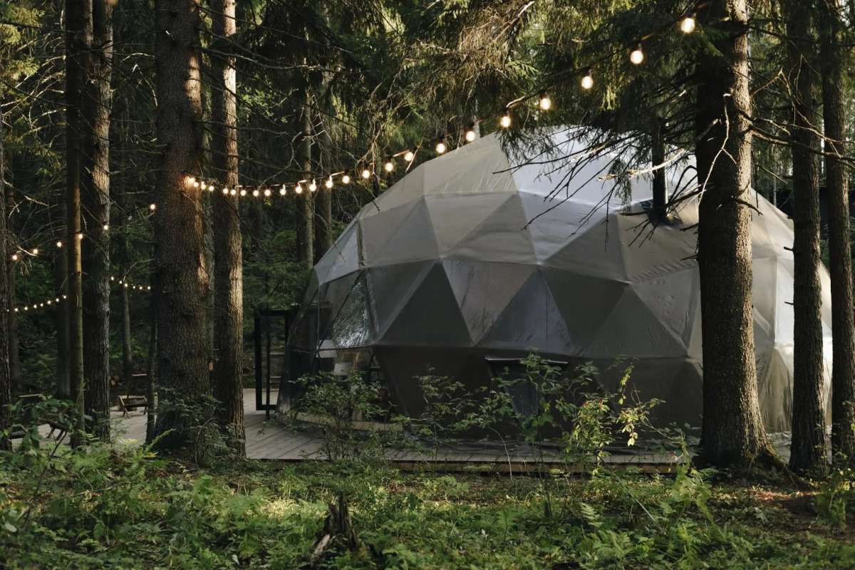 Вили Улей Карелия