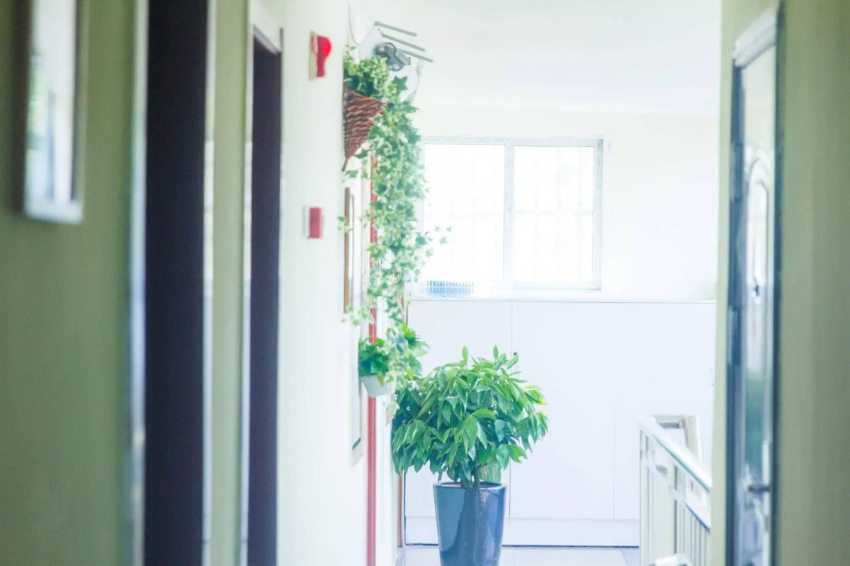 Beijing Alley International Youth Hostel