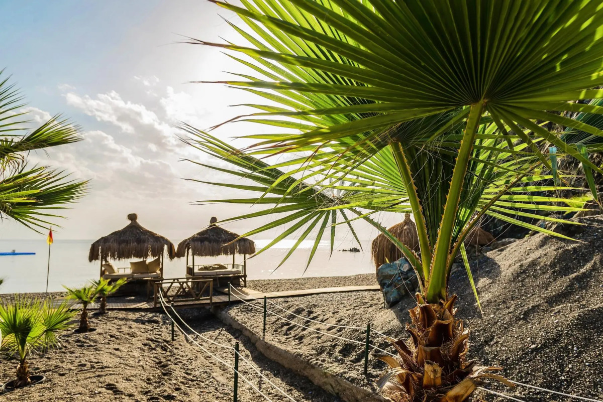 Robinson Camyuva - Adults only