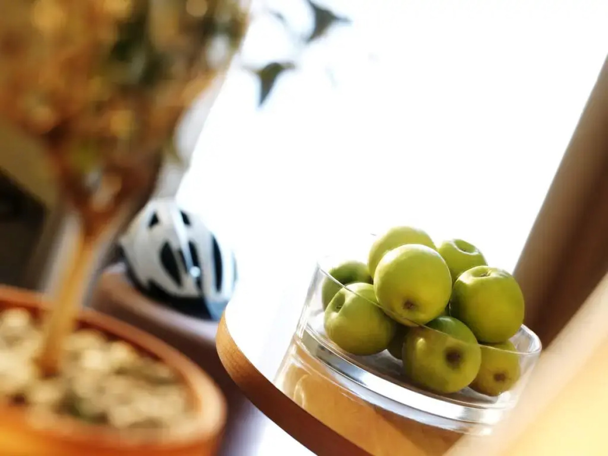 Hotel Neptun – Lifeclass Hotels & Spa, Portorož