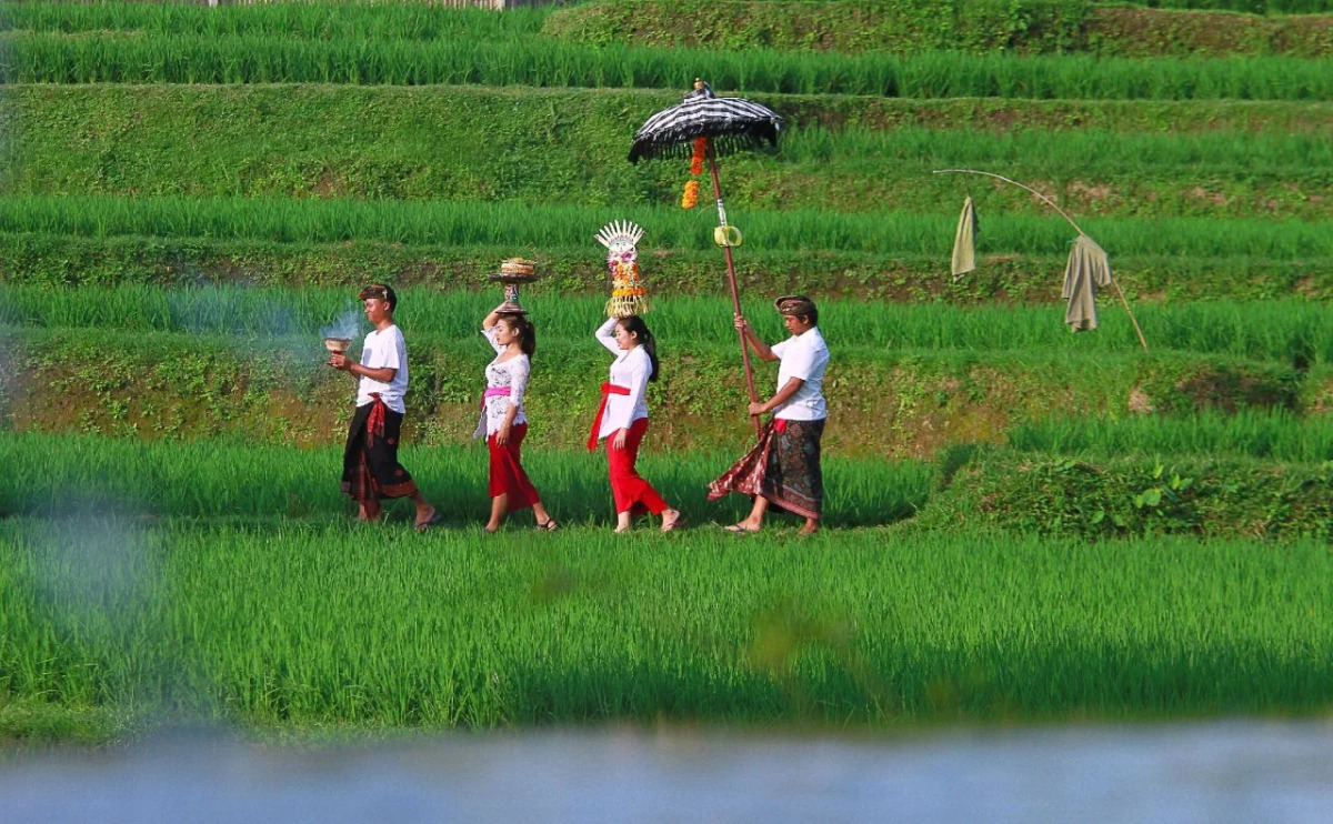 Madani Antique Villas