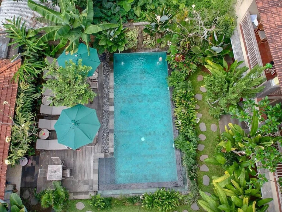 Kailash Bali