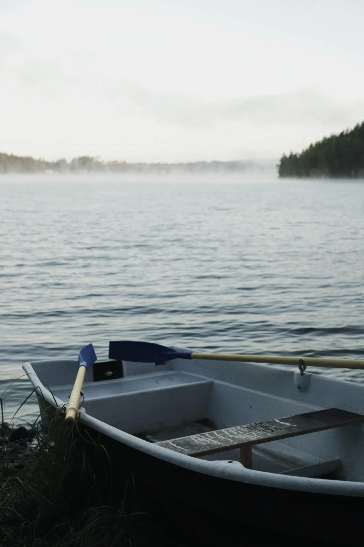 Вили Улей Карелия