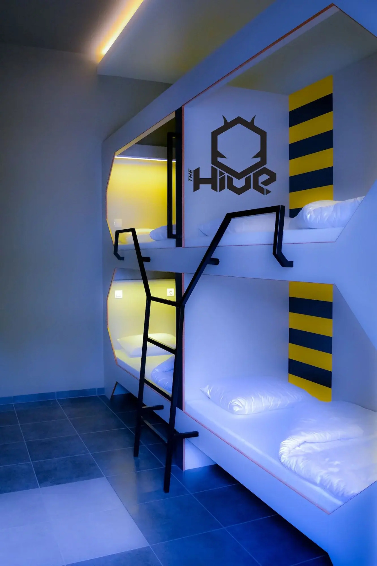 The Hive Party Hostel