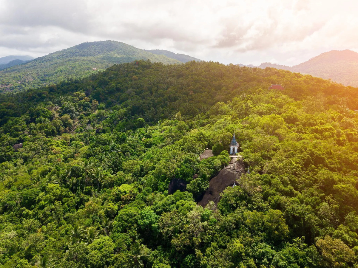 Phangan Island View Hotel