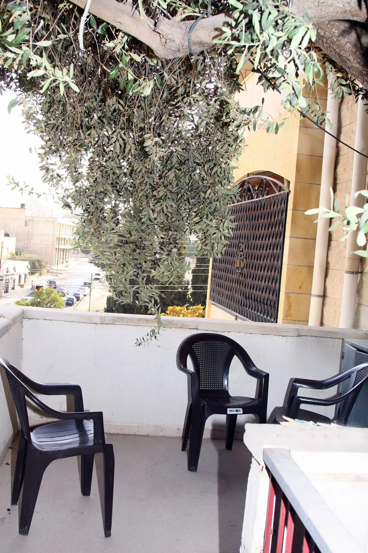 Arabian Suites