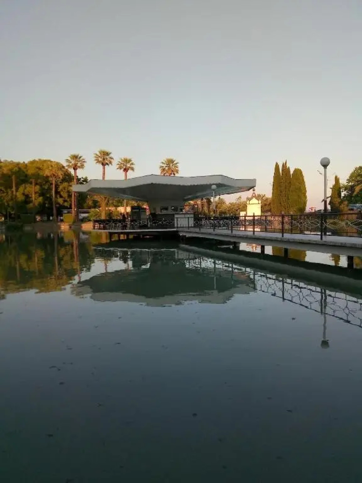 Гостиница Лебедь