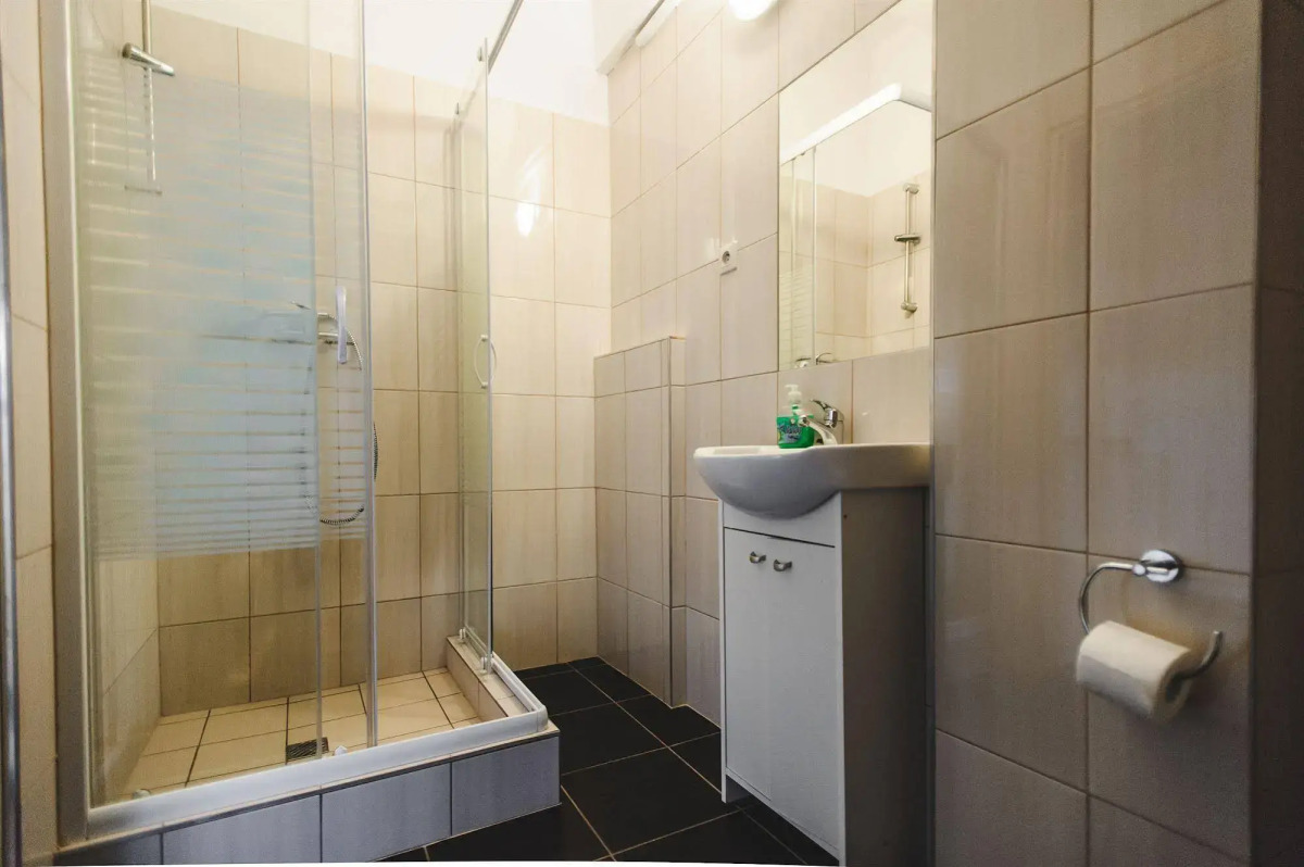 Good Bye Lenin Revolution