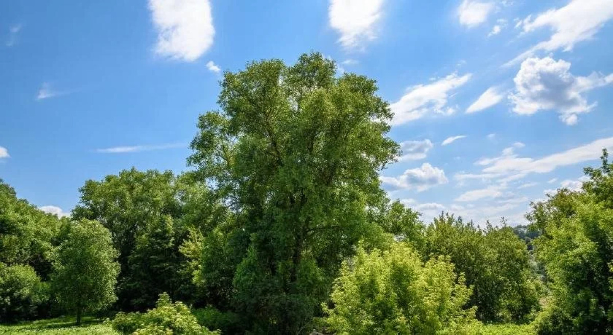 Mini Hotel Na Avtovokzale