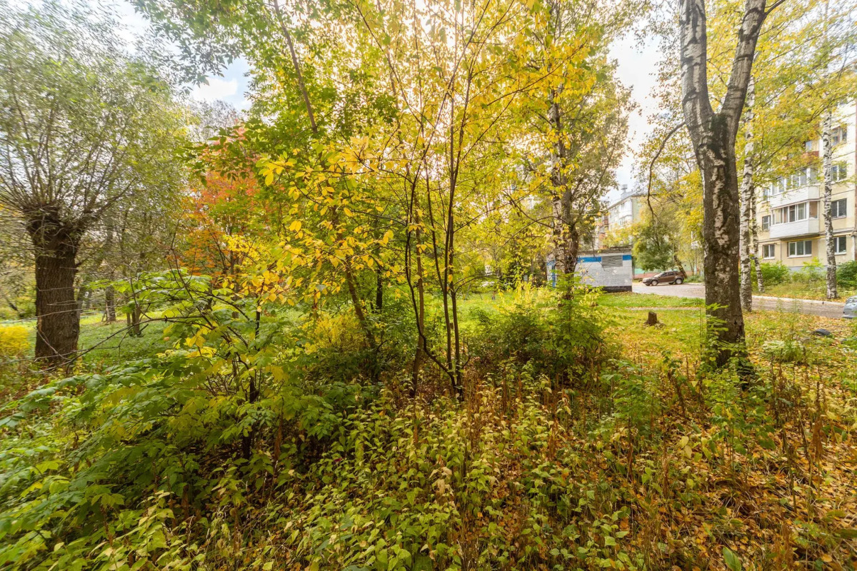 К энд К Апартментс на улице Патриса Лумумбы 3