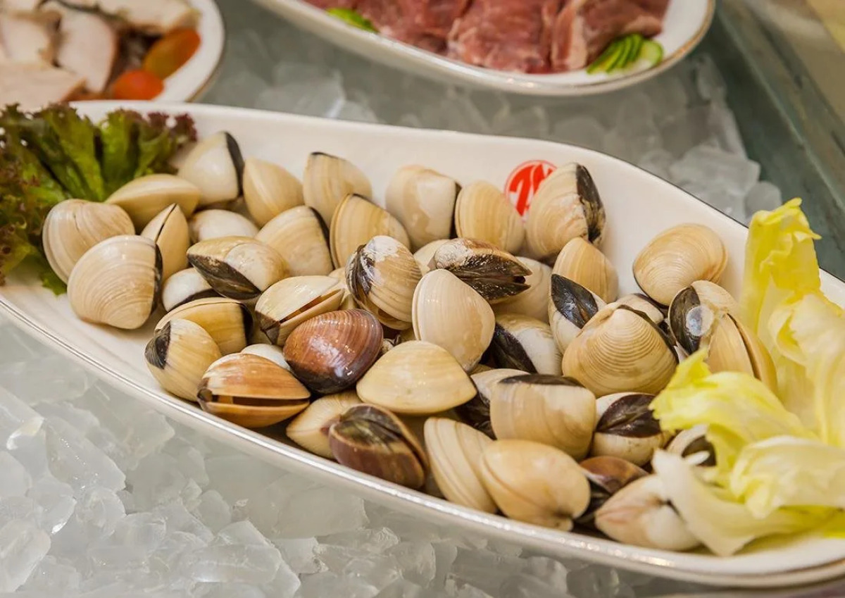 Tan Son Nhat Saigon Hotel